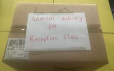 A special delivery!